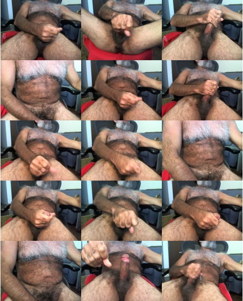 Download Video File: cam4 realhairynyc