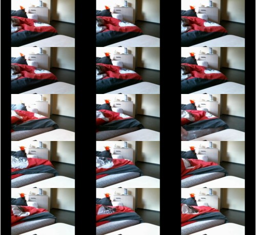 Download Video File: cam4 wir7260