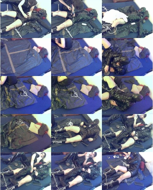 Download Video File: cam4 katzenkotze