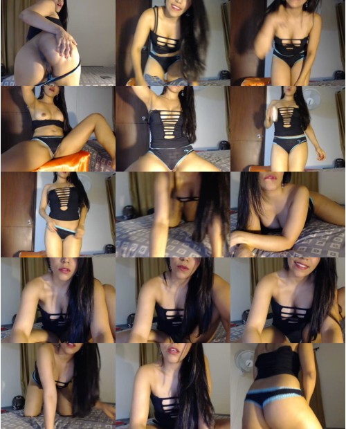 Download Video File: cam4 anapaulis