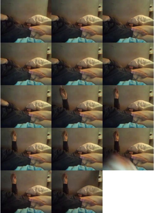 Download Video File: cam4 panthera77