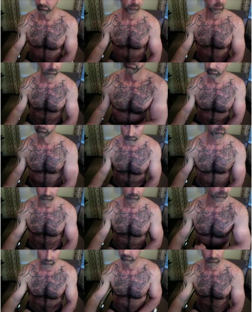 Download Video File: cam4 hairyrrh