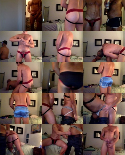 Download Video File: cam4 actiondog1