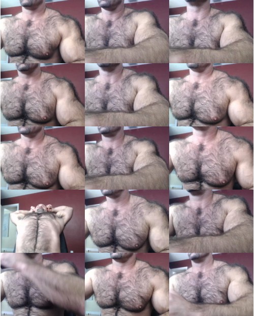 Download Video File: cam4 bullbud