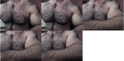 Download Video File: cam4 bullbud