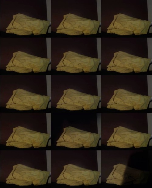 Download Video File: cam4 mascpig25