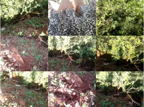 Download Video File: cam4 naomyindia2