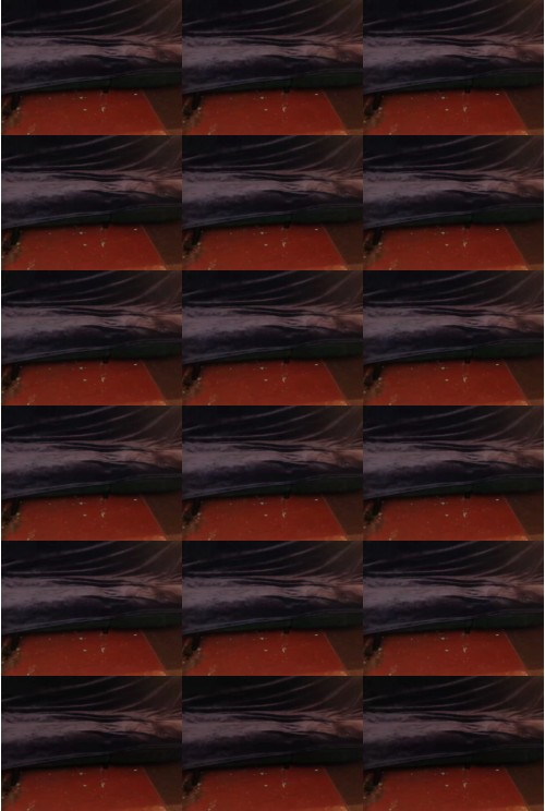 Download Video File: chaturbate 3zcompany