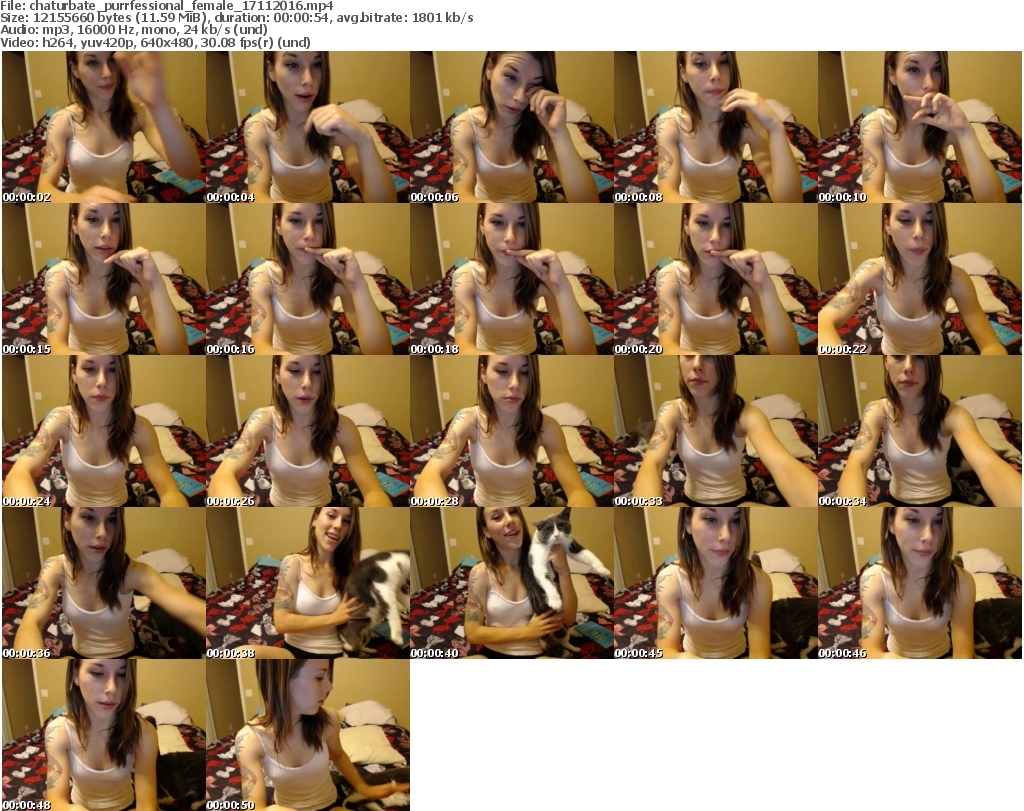 Chaturbate purrfessional Chaturbate purrfessional