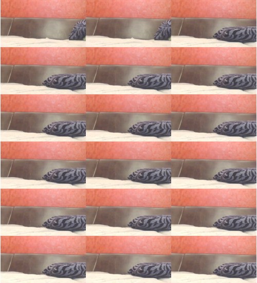 Download Video File: chaturbate sveta1211