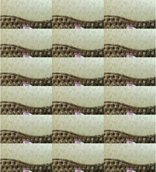 Download Video File: chaturbate adamnoy