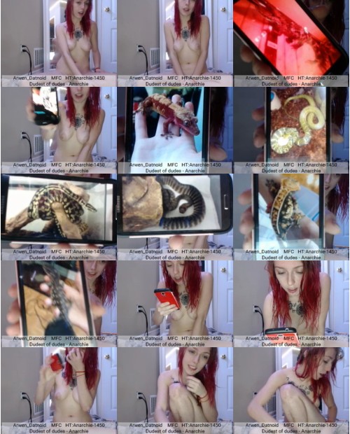 Download Video File: myfreecams arwen datnoid