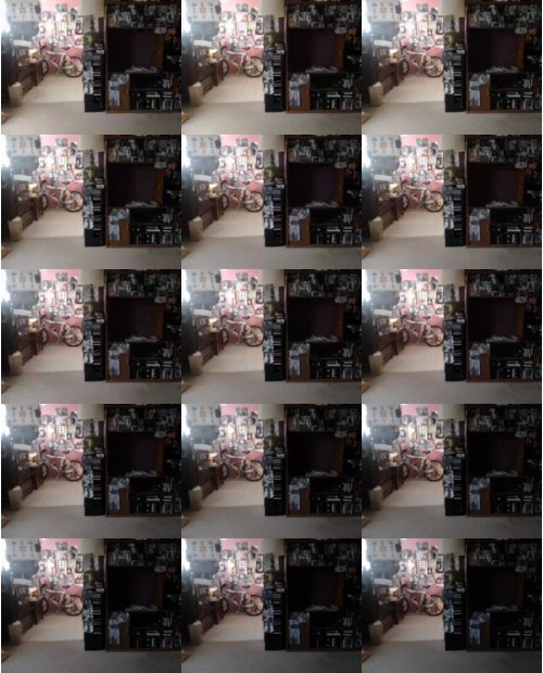 Download Video File: myfreecams ugly girl30