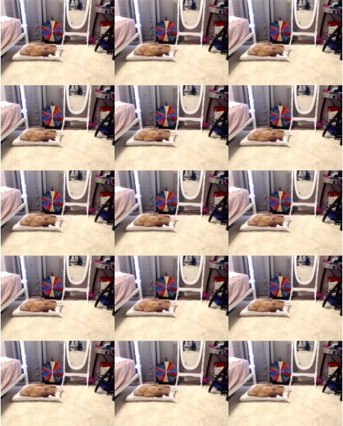 Download Video File: myfreecams harli lotts