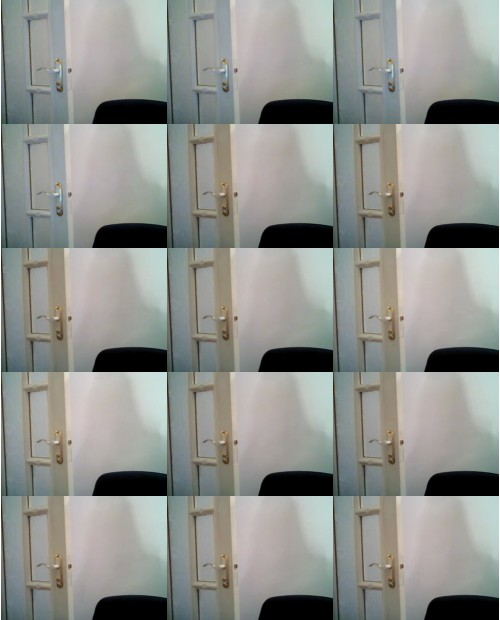 Download Video File: myfreecams lauren088