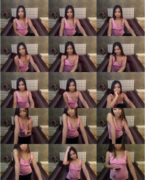 Download Video File: myfreecams yaterasweet