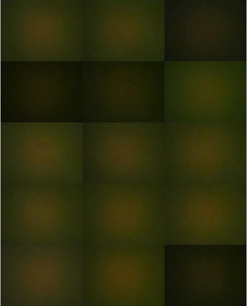 Download Video File: myfreecams languagegirl