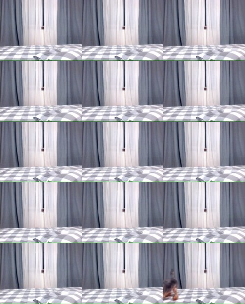 Download Video File: myfreecams jenacums