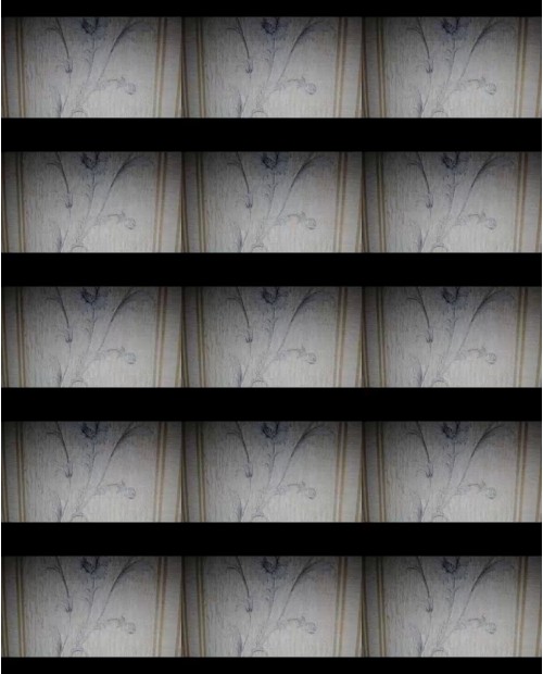 Download Video File: myfreecams aleksa777