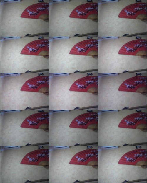 Download Video File: myfreecams ledikitty