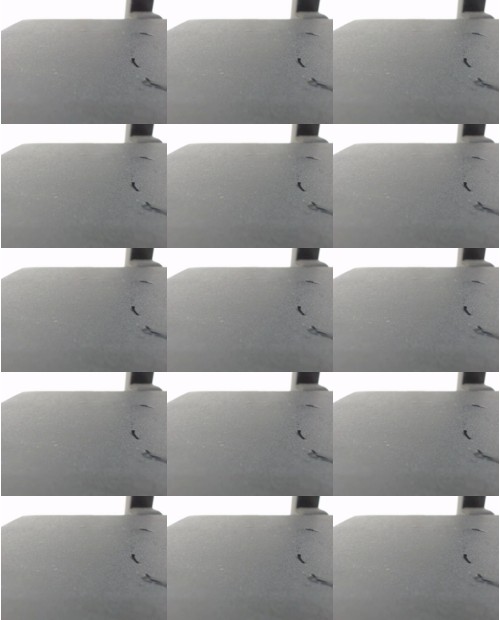 Download Video File: myfreecams lisa sexyhot