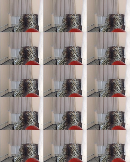 Download Video File: myfreecams janeelite