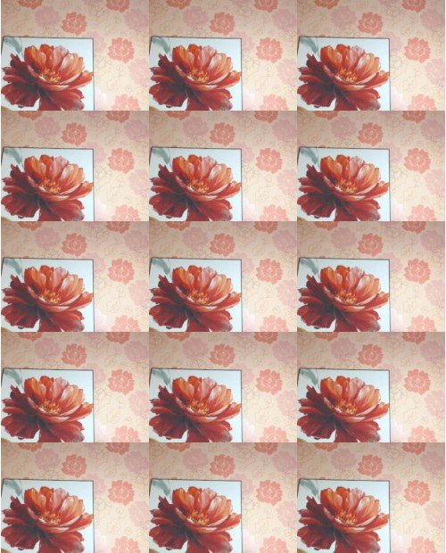 Download Video File: myfreecams beauty nikki