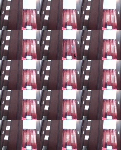 Download Video File: myfreecams vivianishere