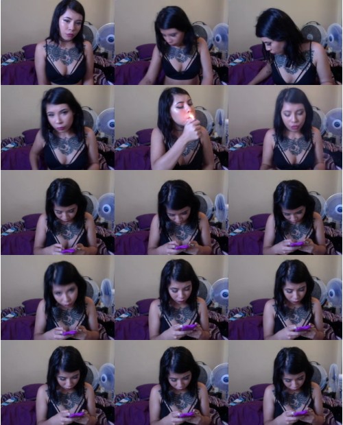 Download Video File: myfreecams felineblack