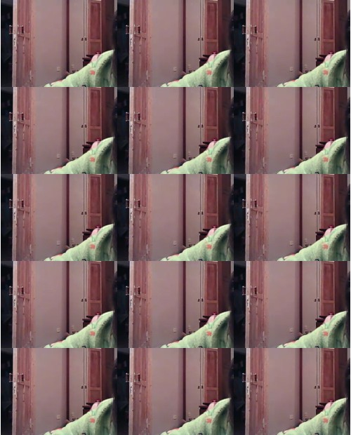 Download Video File: myfreecams cuterosebud