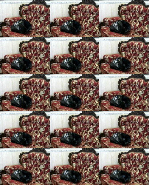 Download Video File: myfreecams geniferboobs