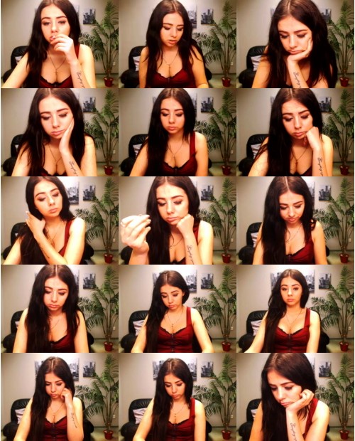 Anneporter cam Anneporter cam