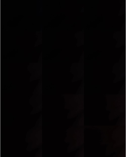 Download Video File: myfreecams caroleneg