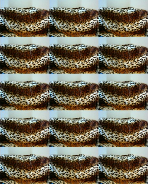 Download Video File: myfreecams sugarasss