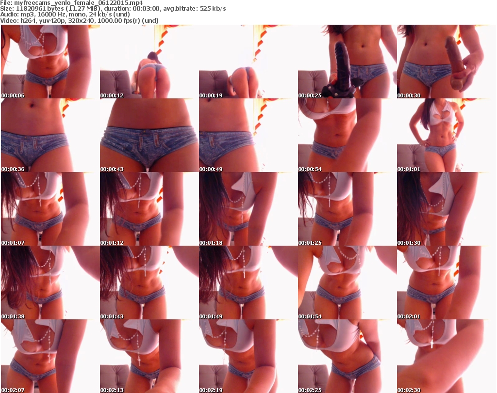Yenlo webcam Yenlo webcam