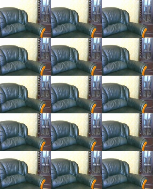 Download Video File: myfreecams ellani wang