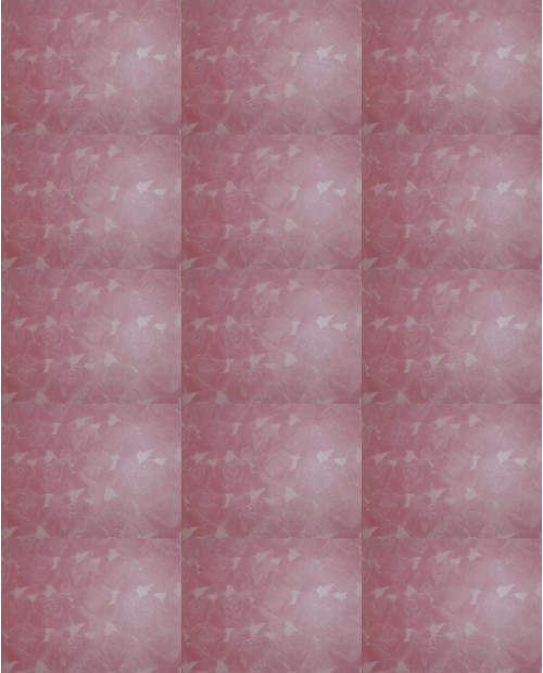 Download Video File: myfreecams luckyerika  