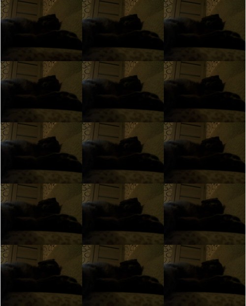 Download Video File: myfreecams insomnia  