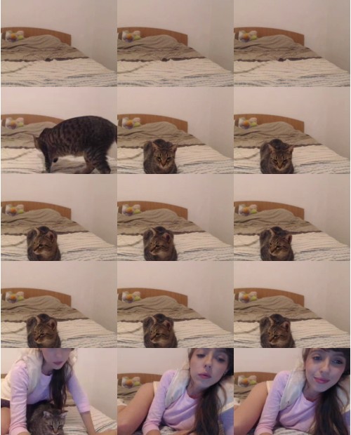 Download Video File: myfreecams ingrid sweety