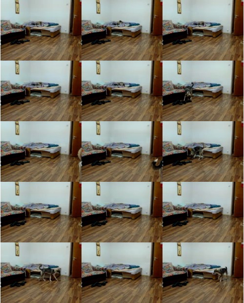 Download Video File: myfreecams cindylover1