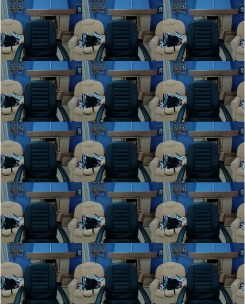 Download Video File: myfreecams selenacherry