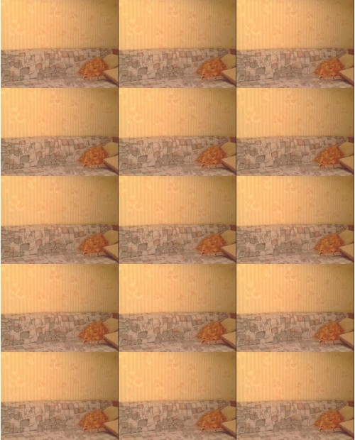 Download Video File: myfreecams bustymanuella