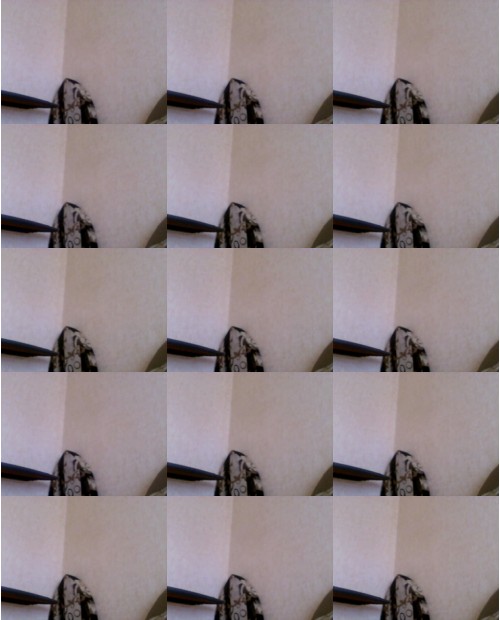 Download Video File: myfreecams ferrariheart