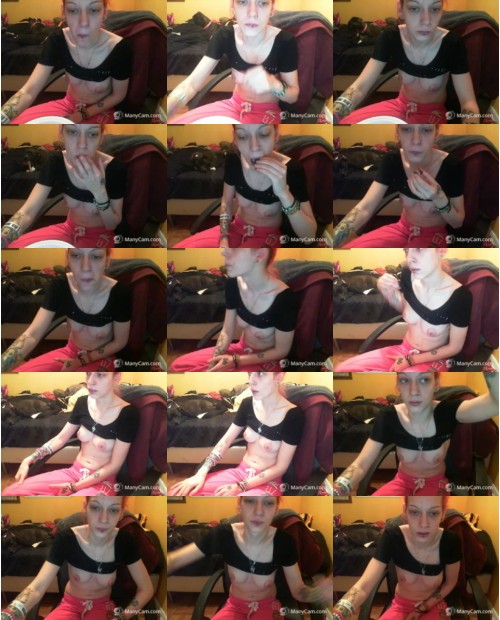 Download Video File: myfreecams pitbull love