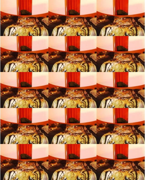 Download Video File: myfreecams goddesskassy