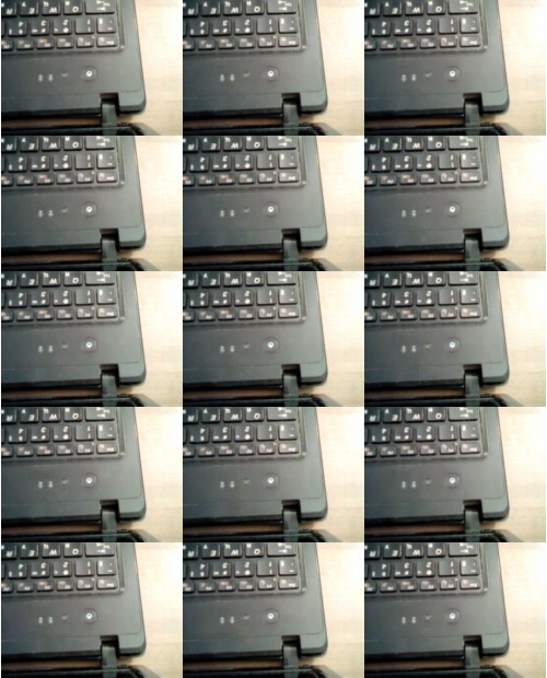 Download Video File: myfreecams lauren088