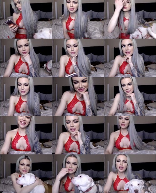 Download Video File: myfreecams harleylavey
