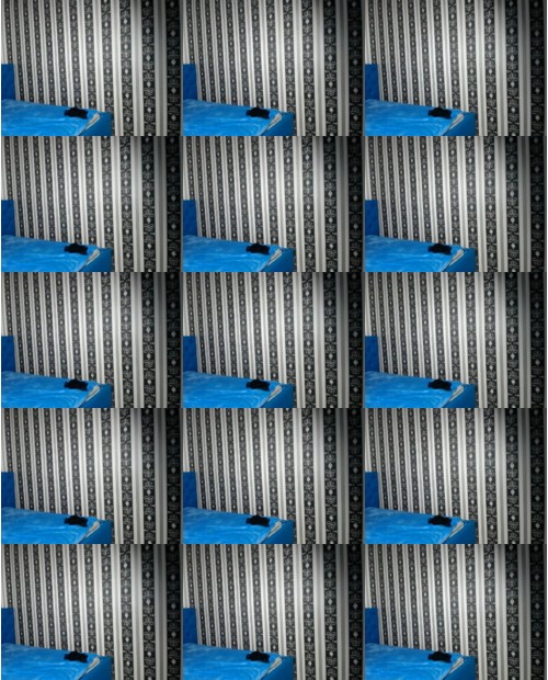 Download Video File: myfreecams darqueleen