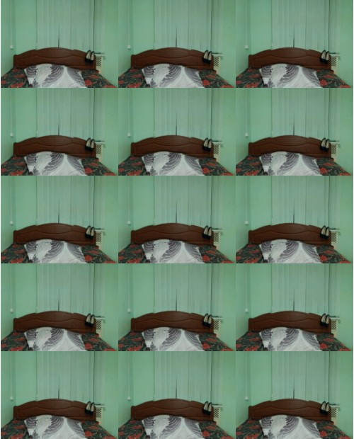 Download Video File: myfreecams evabutterfly 