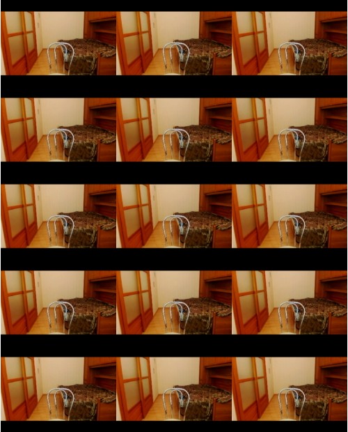 Download Video File: myfreecams freiakornes